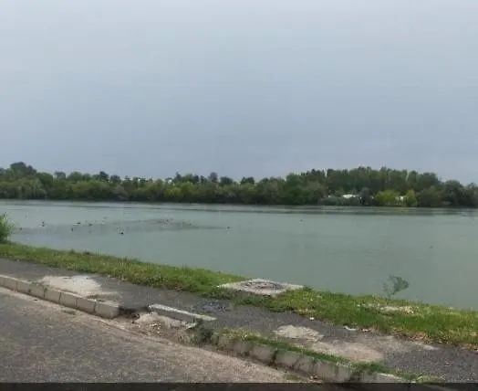 Elena Ap3 Alloggio in famiglia Bucarest