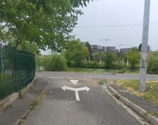 Elena Ap3 Gazde/Camere de închiriat Bucureşti