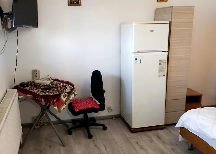 Gazde/Camere de închiriat Elena Ap3 *